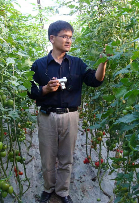 全国政协委员李宝聚：培育设施蔬菜种植大户，推进设施蔬菜产业高质量发展