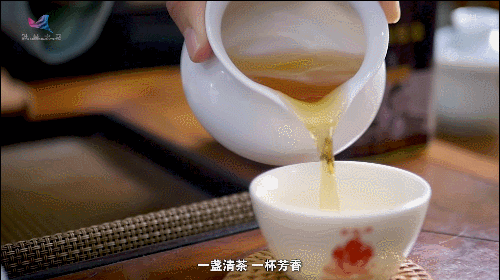 如何真正做有价值的科研？听“茶叶院士”陈宗懋的答案