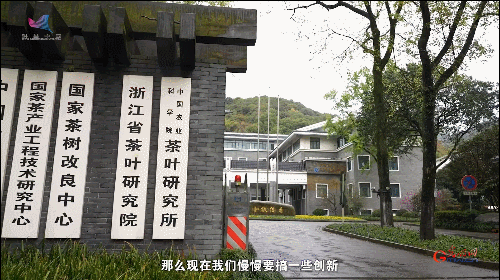 如何真正做有价值的科研？听“茶叶院士”陈宗懋的答案