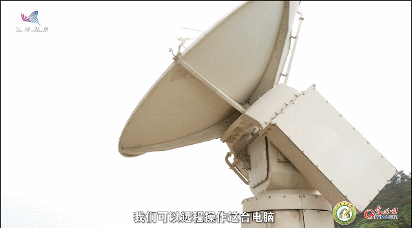 【一线调研·青春有为】一座海岛，一群博士，二十年接力只为一件事