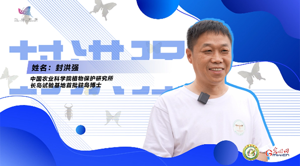 【一线调研·青春有为】一座海岛，一群博士，二十年接力只为一件事