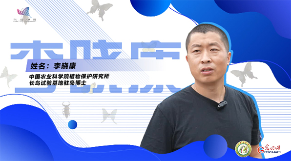 【一线调研·青春有为】一座海岛，一群博士，二十年接力只为一件事