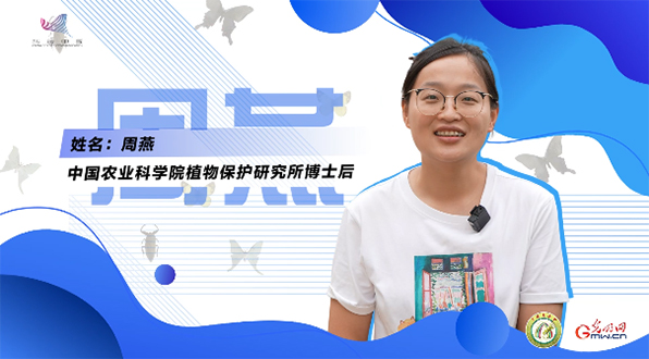 【一线调研·青春有为】一座海岛，一群博士，二十年接力只为一件事