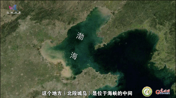 【一线调研·青春有为】一座海岛，一群博士，二十年接力只为一件事