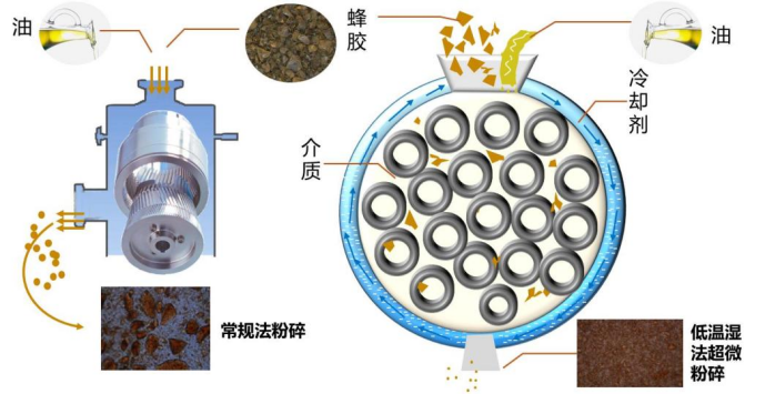 优质蜂产品加工与质量控制技术突破了蜂产品质量过程控制技术瓶颈