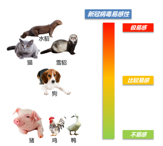 1 面向世界农业科技前沿，取得一批原创性科学成果1963.png