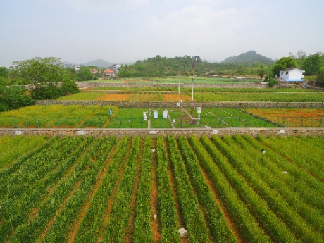 耕地保护与地力提升技术迭代升级， 守牢粮食生产“命根子”