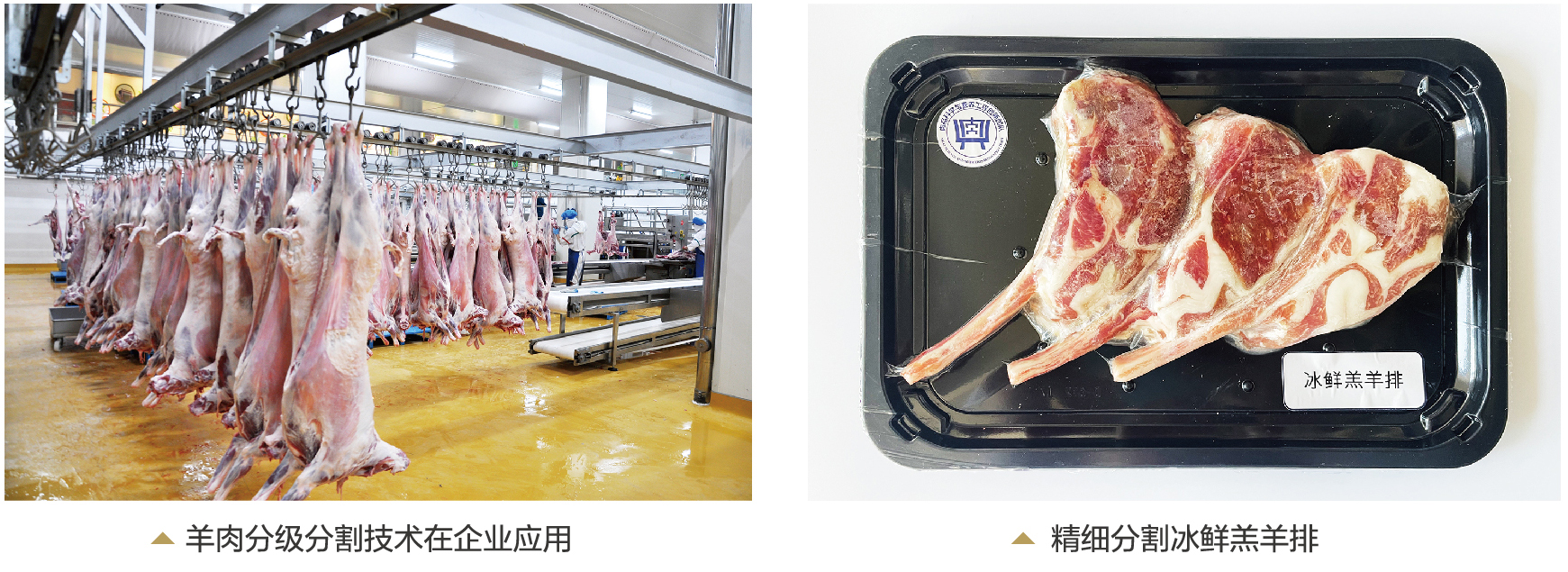 精准分割梯次加工，引领羊肉加工业跨越发展