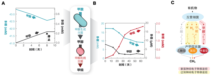 甲烷  大图_副本_副本.png