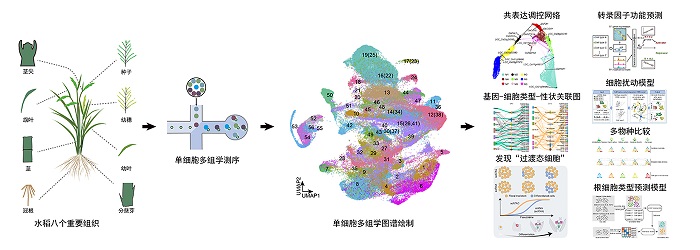 微信图片_2025070920373113.jpg