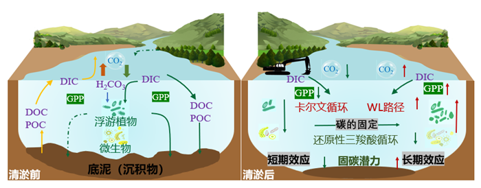 科研进展.png